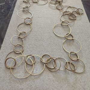 Snazzy silver Circle Necklace long